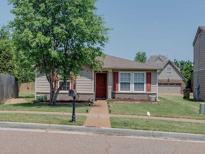 9952 Branley Oak Dr Cordova, TN 38016