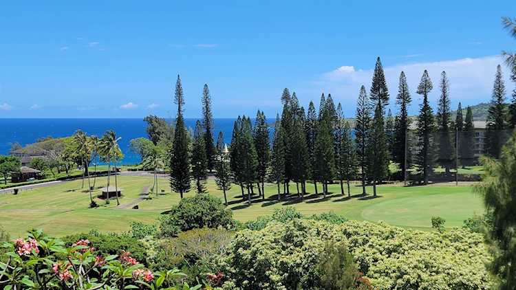 100 Ridge Rd #724 Lahaina, HI Kapalua 96761 | dreams2REALITY Photo 1