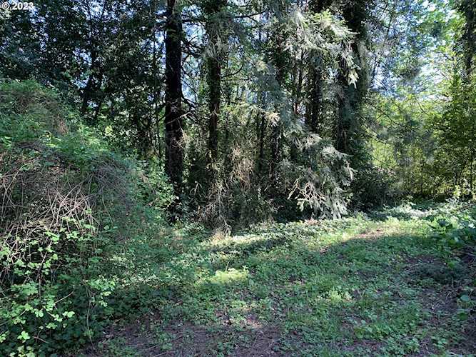 1345 SW Taylors Ferry CT Portland, OR 97219