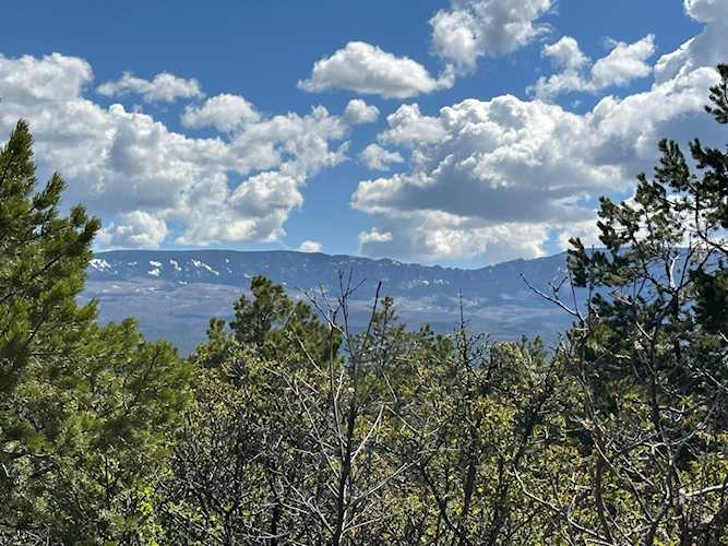 TBD E Pinon Rd #69 Ridgway, COLORADO 81432