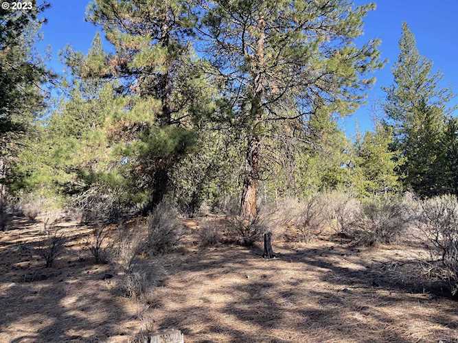 01200 Brook Trout LN Chiloquin, OR 97624