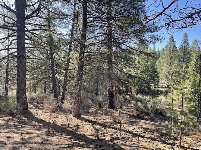 01000 Brook Trout LN Chiloquin, OR 97624