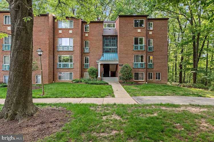 11805 Breton Ct #1A Reston| VA | Listings Updated Every 15 Minutes Photo 1