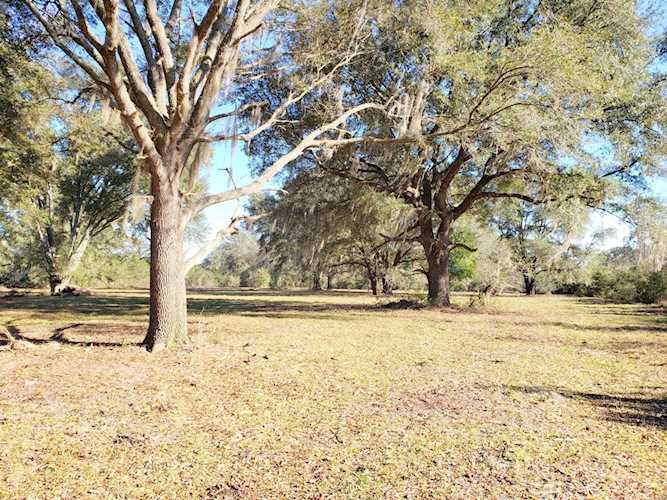 Hokkolen Lot #2 NE Hwy 315 Fort Mc Coy, FL 32134