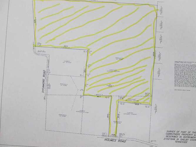 0 E Holmes Rd Collierville, TN 38017 | MLS 10146593 Photo 1