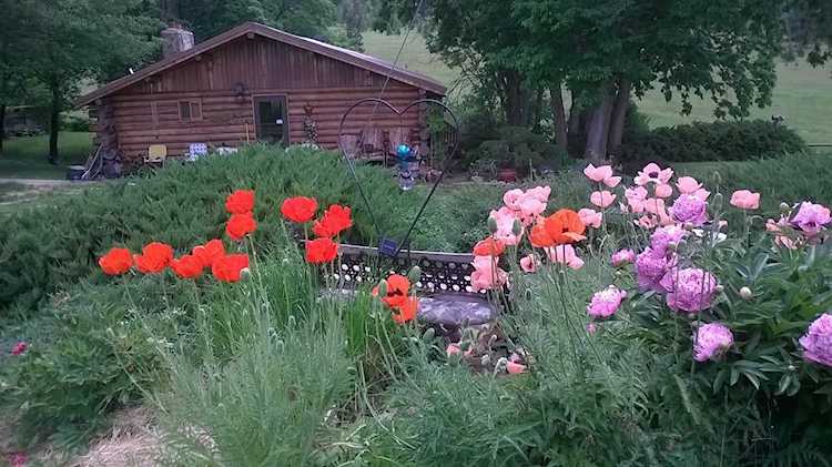 131 Old Hot Springs Rd Hot Springs, MT 59845