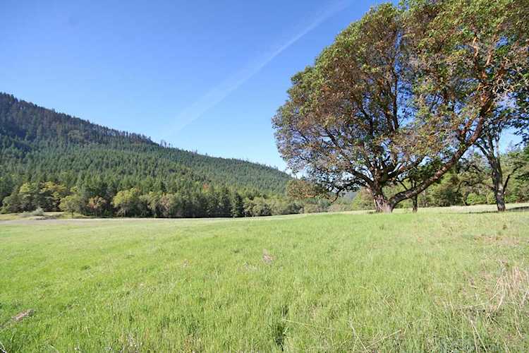 7117 Griffin Ln Jacksonville, OR 97530