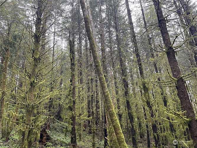 0 Green Mt Rd Woodland, WA 98674