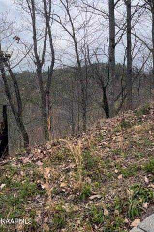Billard Way Lot 134 Way Sevierville, TN 37876 | MLS 257425 Photo 1