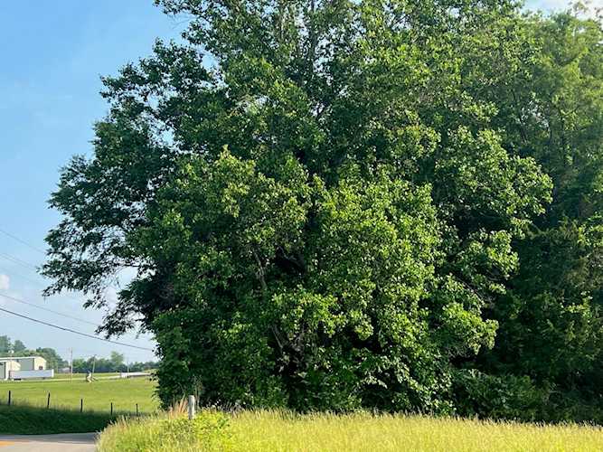 Address Withheld Somerset, KY 42503