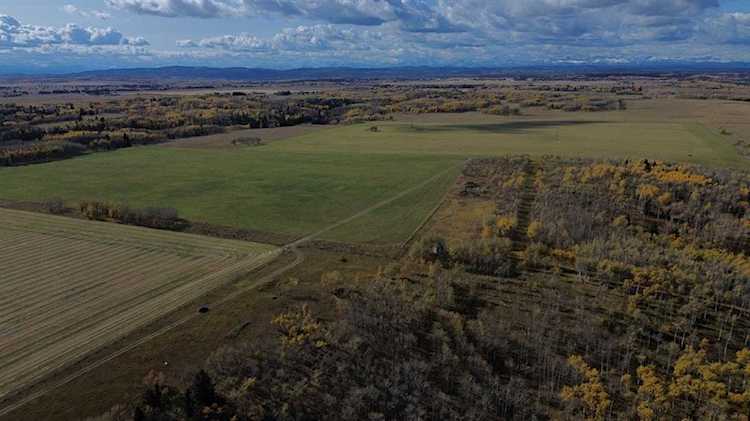 Range Road 43 Rural Rocky View County, AB T4C 1A1
