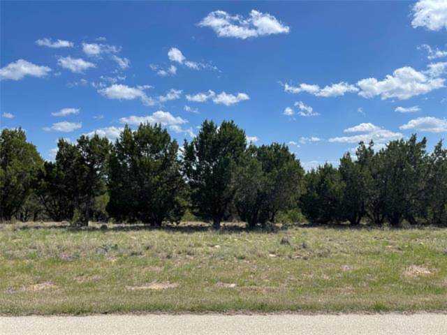 1019 Caprock Court Graford, TX 76449