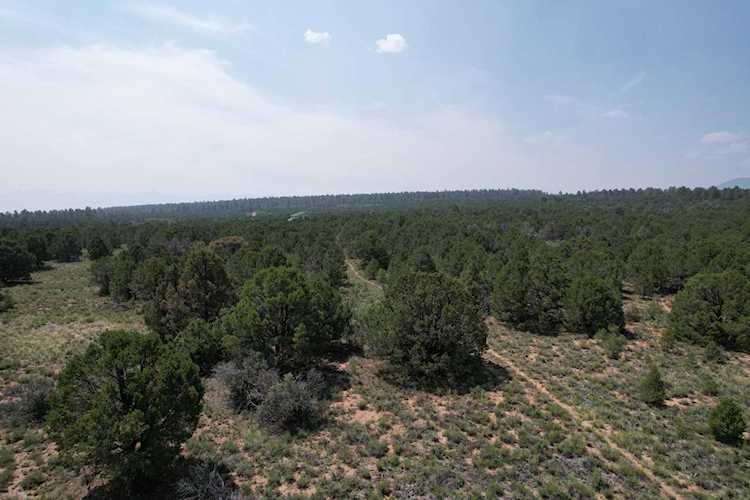 TBD Kendall Rd Montrose, COLORADO 81403
