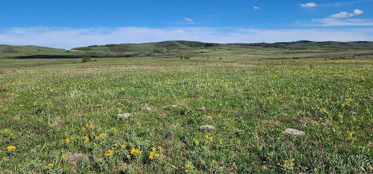 SE 17-16-2 W5 Highway 22 Rural Foothills County, AB T0L 1R0