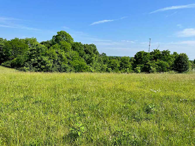 2200 Scotts Ferry Rd Versailles, KY 40383