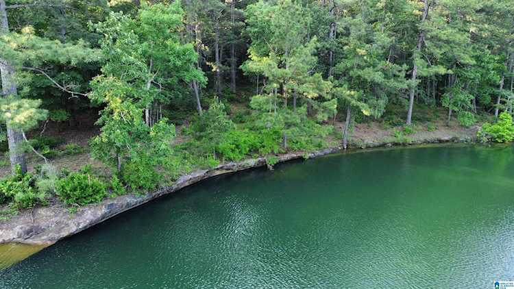 1498 Bear Branch Place #C Double Springs, AL 35553
