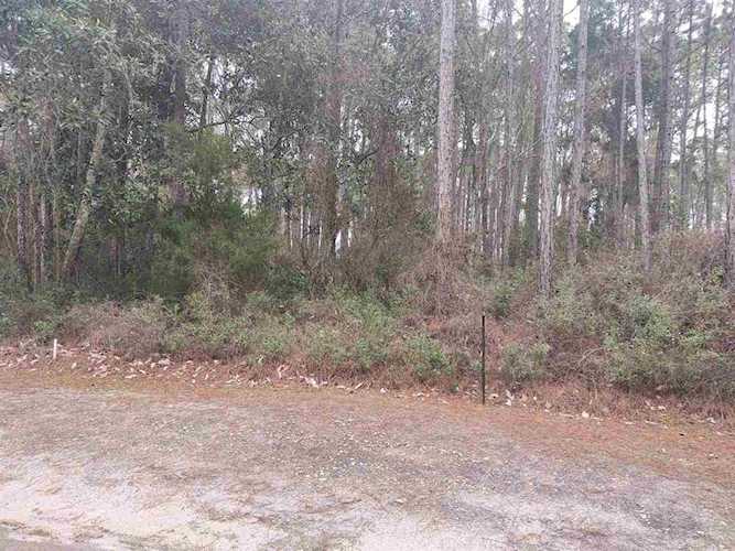 116 Royal Tern Way Carrabelle, FL 32322