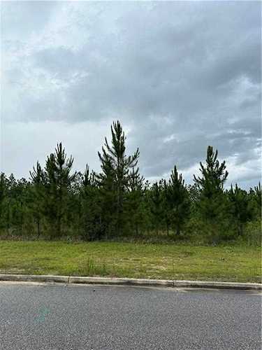 10982 Tall Timber Lane Elberta, AL 36530