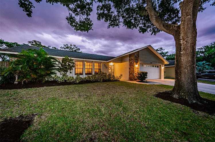 459 Oak Creek Ln Palm Harbor, FL 34684