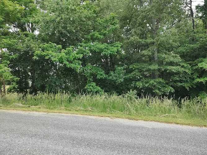 Lot 41 Old Farmhouse Moneta, VA 24121