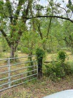 0 S 6th Street Citronelle, AL 36522