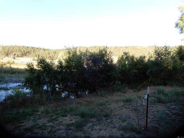 X S 5th Street Pagosa Springs, CO 81147