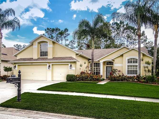 12518 Leatherleaf Dr Tampa, FL 33626