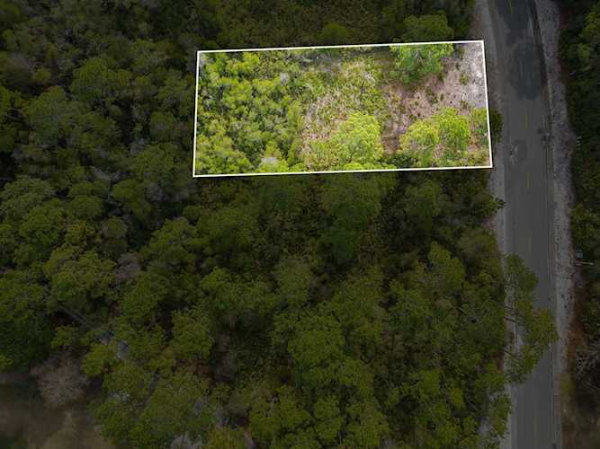 206 Royal Tern Way Carrabelle, FL 32322 in St James Bay Photo 1
