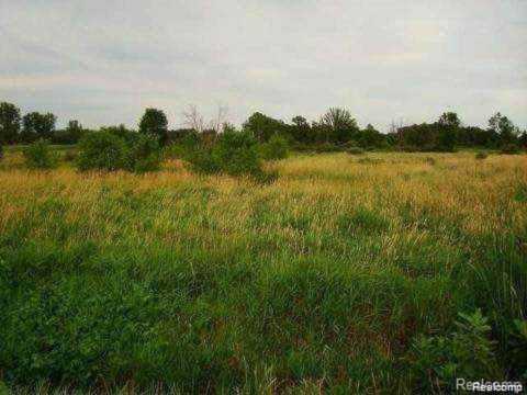 00000 N Baldwin, Oxford, MI 48362 in |Oakland MLS# 60222870 Photo 1