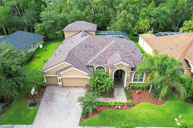 27608 Pine Point Dr Wesley Chapel, FL 33544
