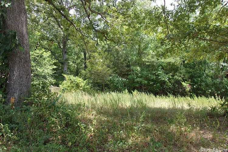 10 Lauderdale Drive Briarcliff, AR 72656