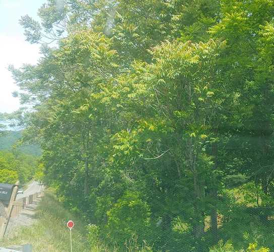 0 Jubal Early Hwy, Boones Mill, VA 24065 | MLS 898592 Photo 1