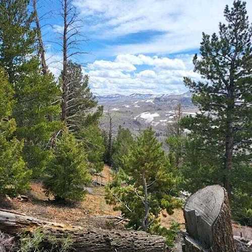1250 N Aspen DR Brian Head, UT 84719