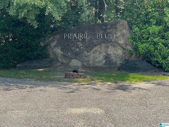 Lot 7 Paradise Cove Lane #Lot 7 Catherine, AL 36728