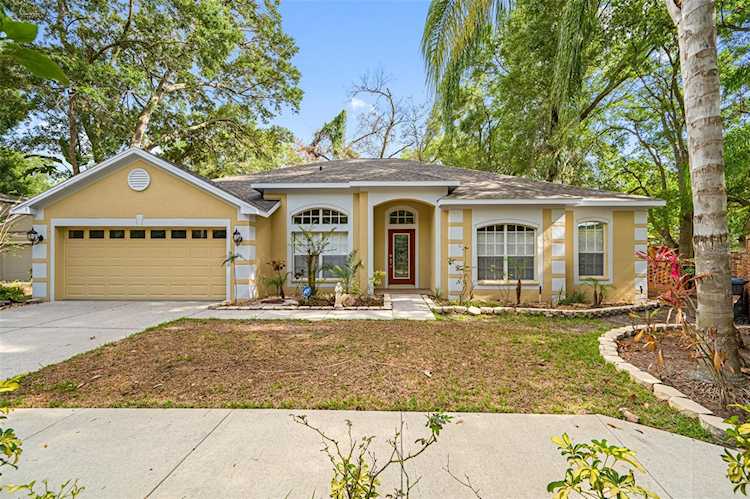 2101 Fawn Meadow Dr Valrico, FL 33594