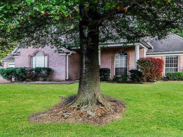 3914 Tamara Dr Bartlett, TN 38135