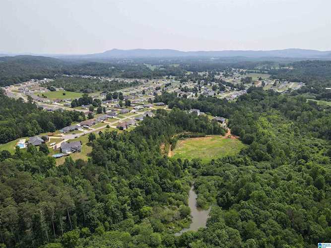 Zoe Court #18.88 ac. Weaver, AL 36277