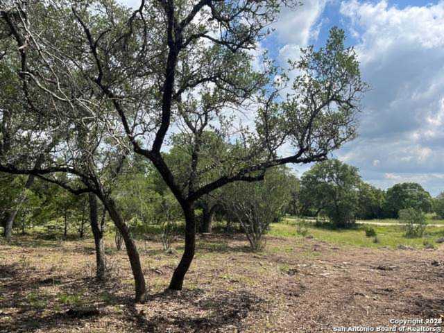 11 Winged Foot Boerne, TX 78006