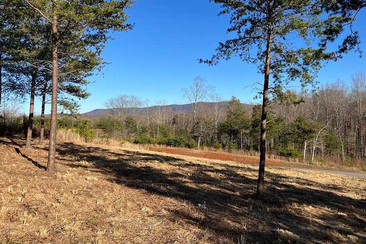 LOT 5 Jfk Union Hall, VA 24176