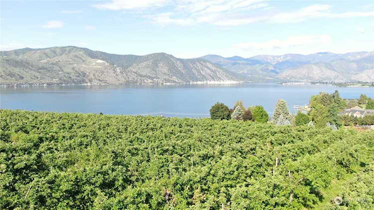 0 xxx Winesap Ave Manson, WA 98831