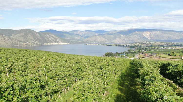 0 xxx Winesap Ave Manson, WA 98831