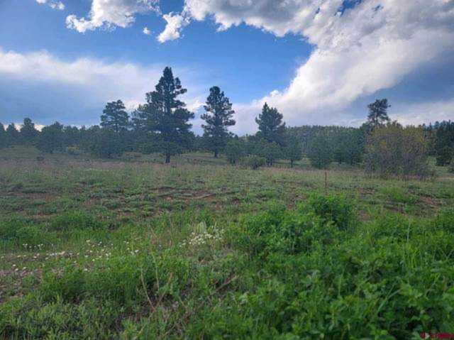 77 Bonita Drive Pagosa Springs, CO 81147