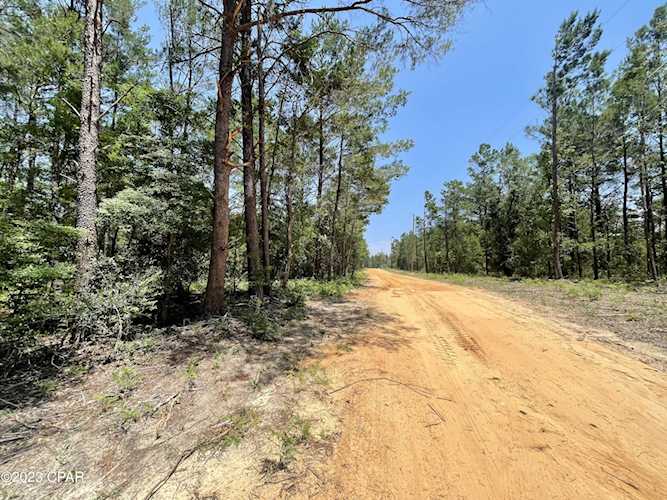 0 Cowslip Ct Defuniak Springs, FL 32433