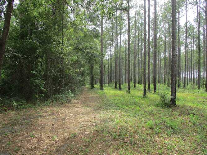 000 Cox Rd Monticello, FL 32344
