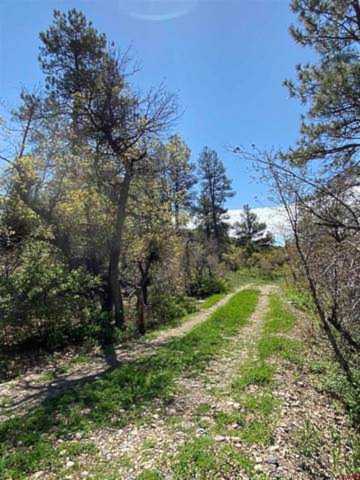 535 Bobcat Lane Pagosa Springs, CO 81147
