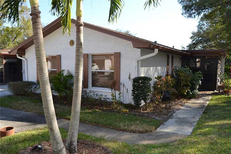 2200 Shelly Dr #C Palm Harbor, FL 34684