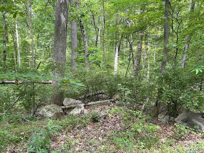 Off Chicken Bridge Road Pittsboro, NC 27312