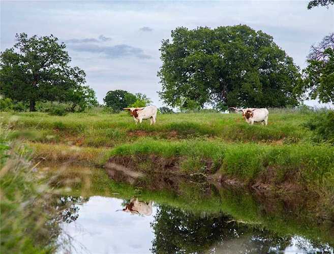 000 County Road 110 Comanche, TX 76442