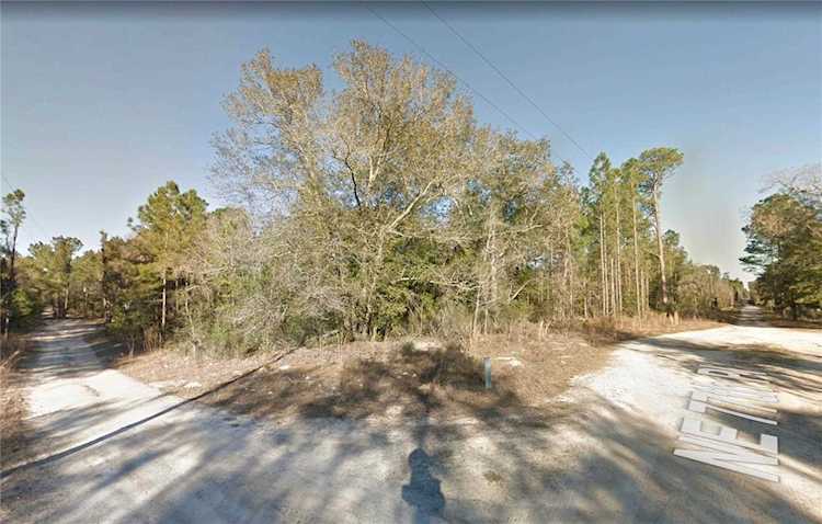 9791 NE 77th PLACE Bronson, FL 32621