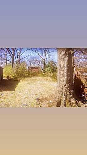 1315 Hyde Park Blvd742DMemphisLot located on Hyde Park. Don't miss your chance to build you a rental property in an improving...Shelby10149085TNHyde Park38108lot for sale$18,500 Photo 1